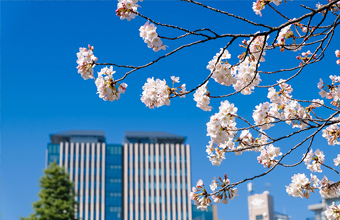 新宿早稲田ビジネスサロン
